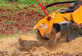 Best Mulching Services  in Wilmington, DE